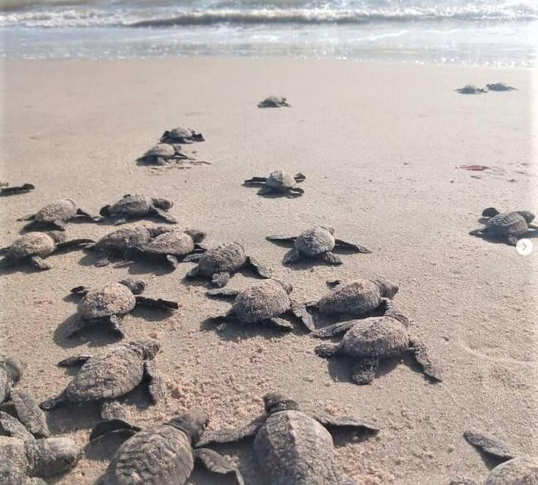 Joao Pessoa, A Dois Passos Do Paraiso, 2 Suites Com A/C, Vista Panoramica Para O Mar Do Bessa, Portaria 24H E 2 Vagas De Garagem Luaran gambar